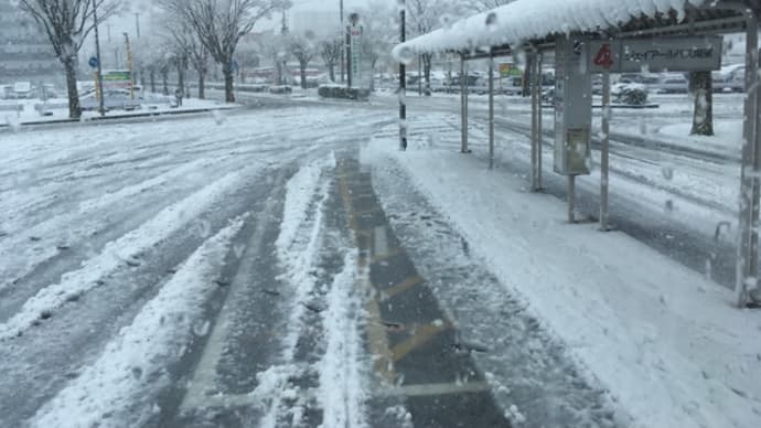 3/27雪でした。