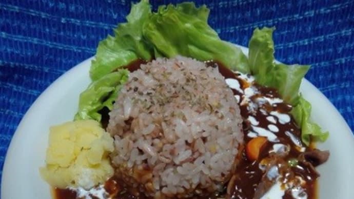 サンディ・ハチ食品/ハッシュドビーフ改が昨日の晩御飯、和牛じゃがいも人参追加したんだね:D