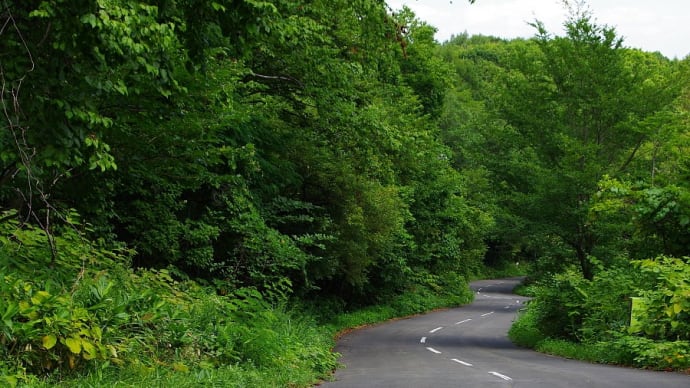 裏山の散歩道でいろいろ