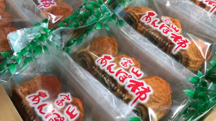 富山干柿の圃場と加工場見学をしてきました