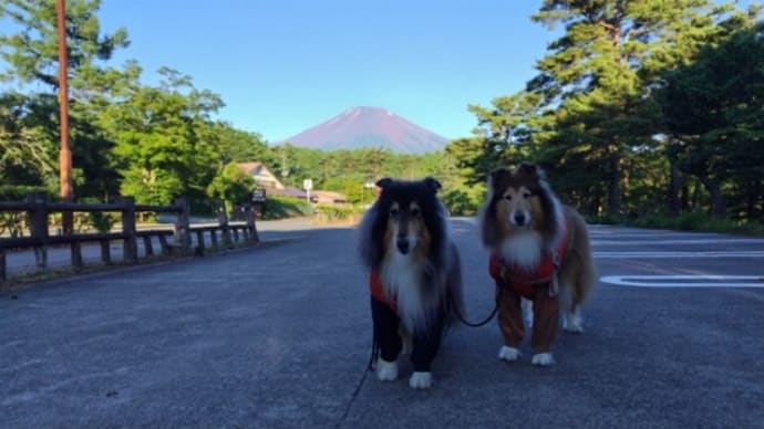 お山、暑いです🥵