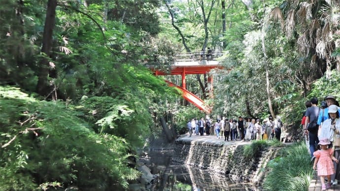 今年も等々力渓谷~狐塚古墳を散策しました。