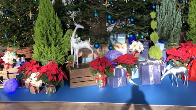12月になると街はクリスマスの飾り付け