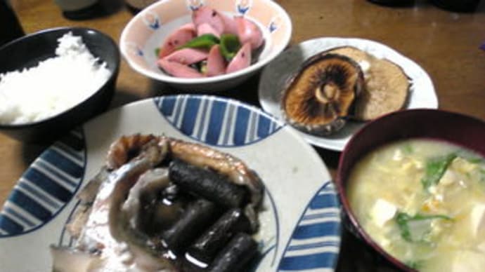 4月11日の晩御飯