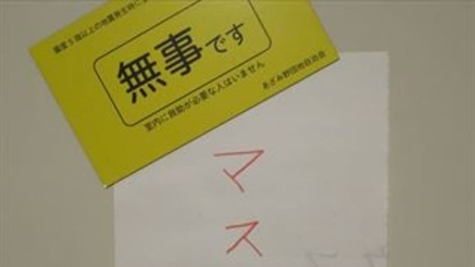 8/24 夕方の散歩 安倍総理辞任(8/28)