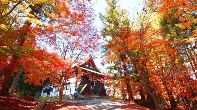 信州・長野市 昌禅寺の紅葉もキレイですヨ・・・・・・!