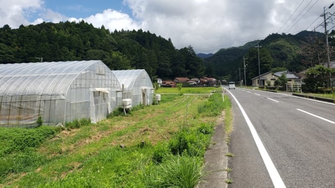 隠岐の(ほぼ)中心で古神道と寂れた集落の様子を見学する