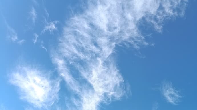 朝から雷が落ちまして