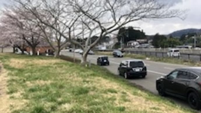 大河原の一目千本桜のはしっこすみっこ探索