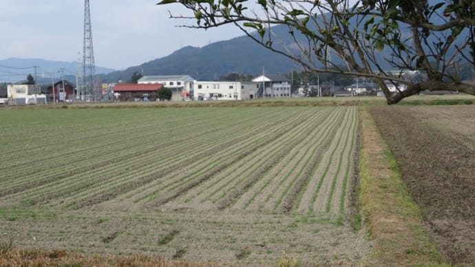 残る日も10日を切りましたね