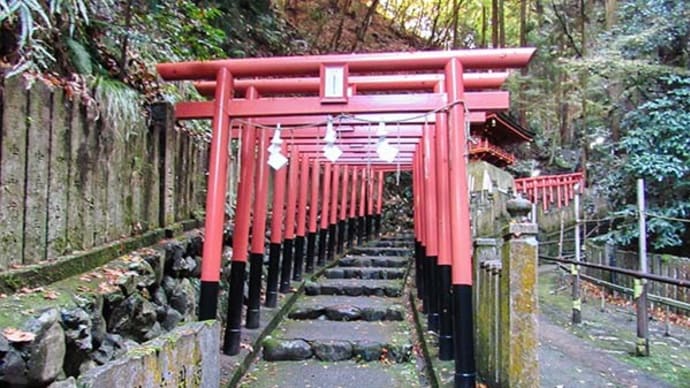 狸谷不動院　本堂　（２５０階段　参拝）