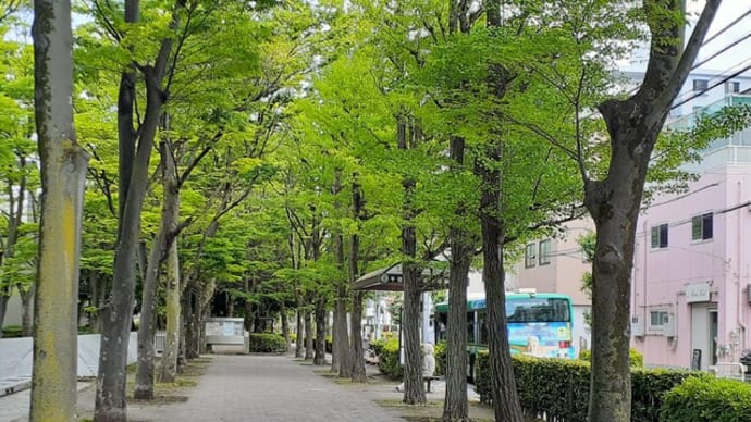 東京都立大学荒川キャンパスの新緑