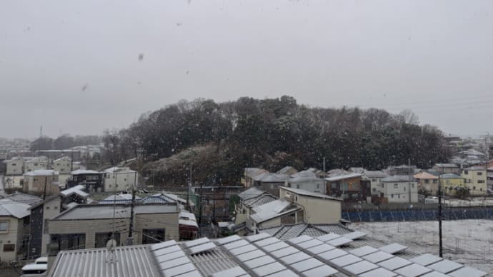 03月03日 はたして雪は降った。
