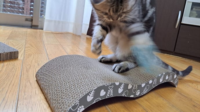 期限切ればかり食べてる。