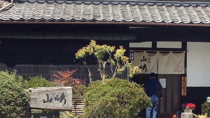 そば処山崎ついでに松国の大山桜🌸