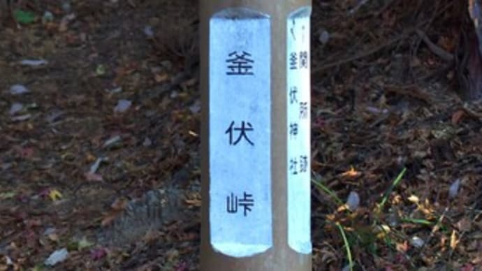 釜伏峠 コガラ