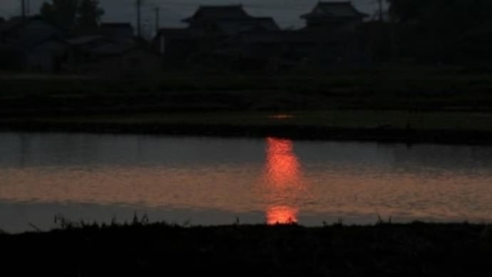 思い込みで食わず嫌い