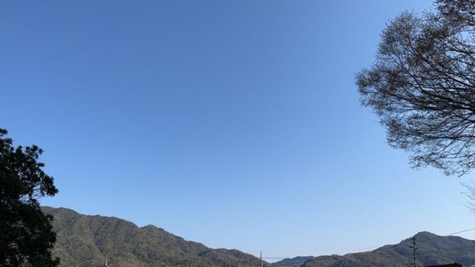 眼の疲れに緑色を〜ウマノアシガタ(馬の足形?)他