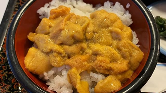 瓶入り生ウニ膳付き宿泊が実質千円。県外者もOK。いわて旅応援割引と普代村宿泊助成を使います。