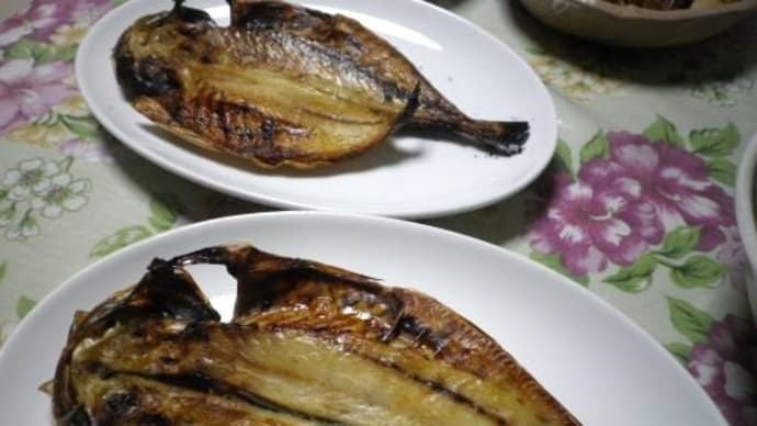 鶏ムネ肉の青椒肉絲風