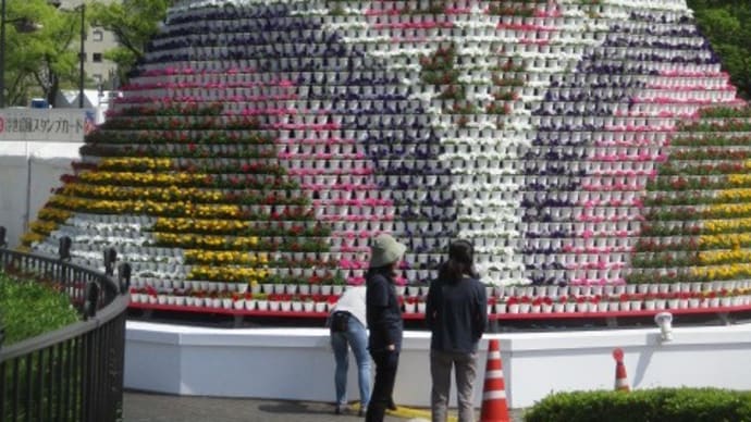ひろしまフラワーフェステバル2025、明日からはじまります!3日間で180万人が来場する広島市最大のお祭りです