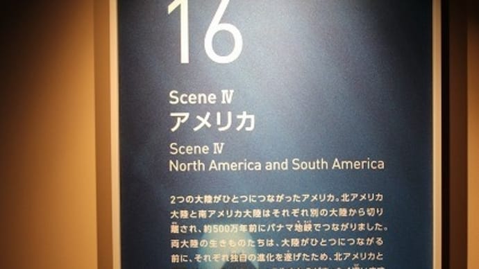 仙台うみの杜水族館 5