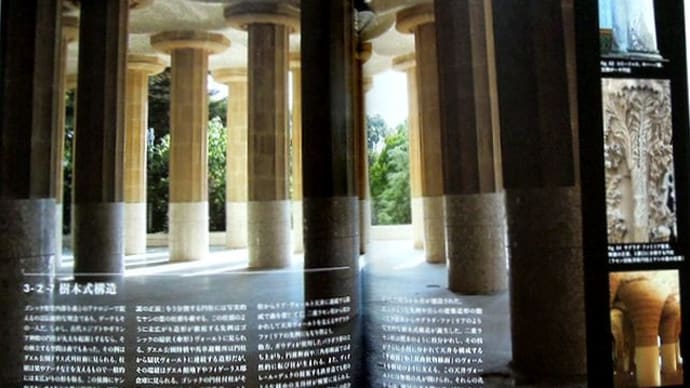 ガウディとサグラダファミリア展 ⑬「樹木式構造　クーポラ・ヴォールト天井」