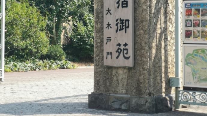 新宿デモ及び被害者大総会参加報告①(20200814)
