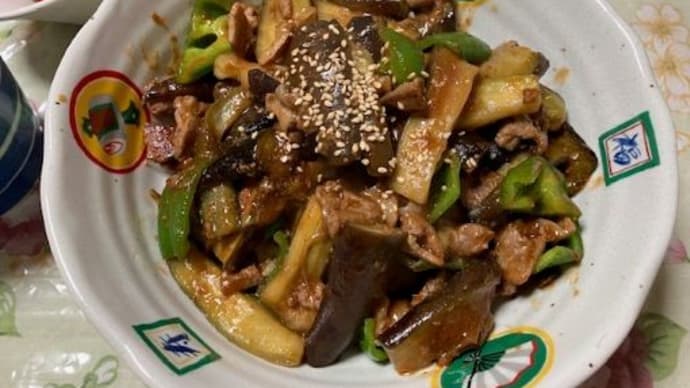 とうとうご飯を食べなかった日