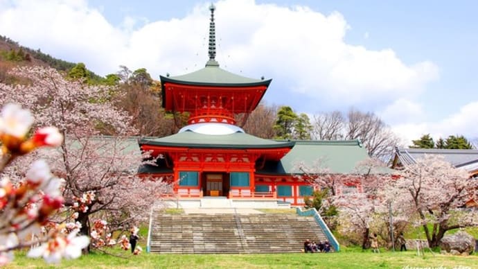 信州・長野 雲上殿の桜を見に・・・・・!