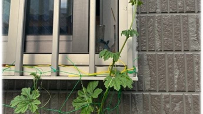籠っていました