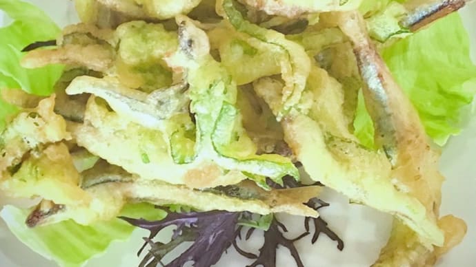 12月19日の日替り定食(650)は、キビナゴの青シソ天ぷら です。