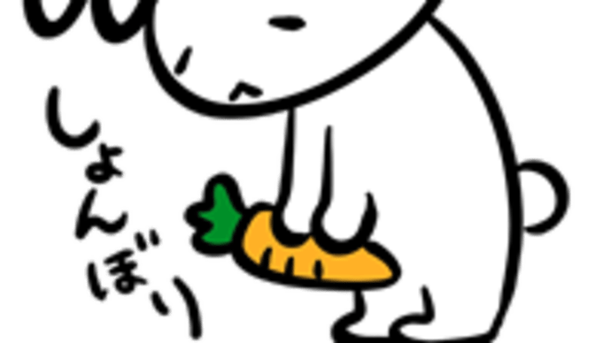 2023年10月22日(日)