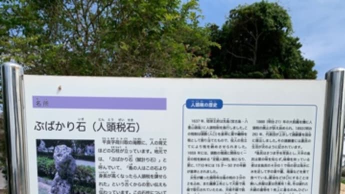 宮古島のぶばかり石(人頭税石) -3-