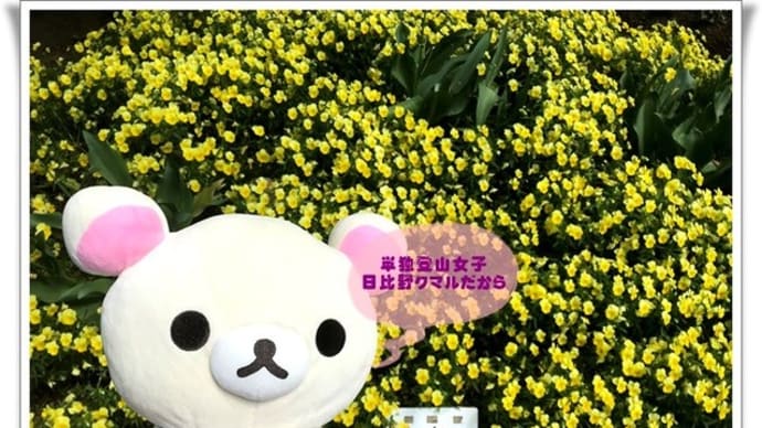 クマルとぶれいく