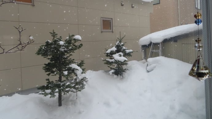 気温高めで湿ったぼたん雪が⛄