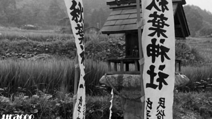 フィルムスキャンしたモノクロ写真集(2)