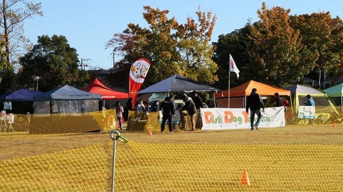 DDTディスクドッグ東北大会
