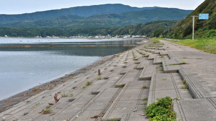 男鹿毛無山の地味花(2024年8月29日)