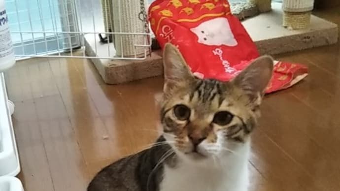 スタッフのオススメ記事に掲載されました