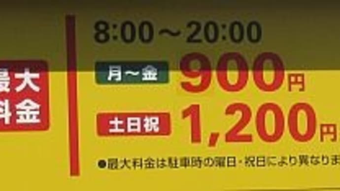 文化園の春