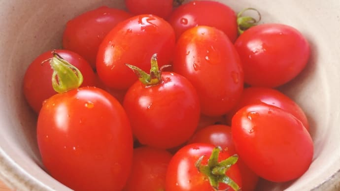 栄養満点のミニトマトで夏バテ対策!健康は日々の食事から