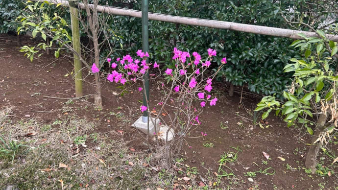 こんにちは