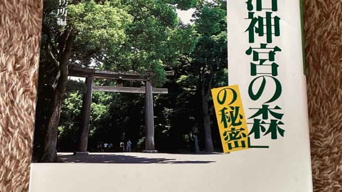 明治神宮・不思議の森