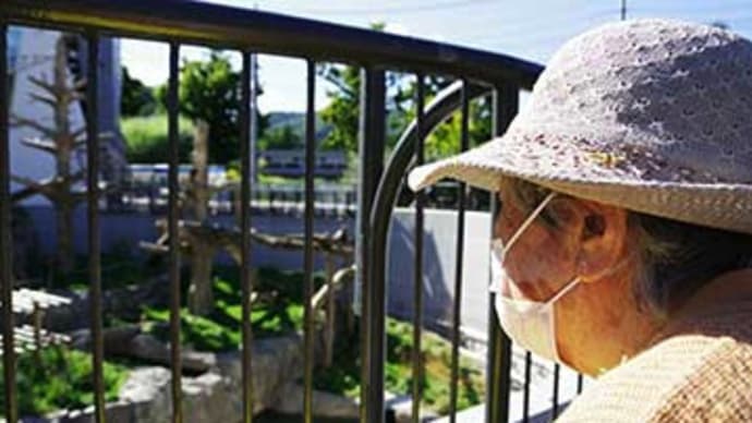 母が旅立ちました。