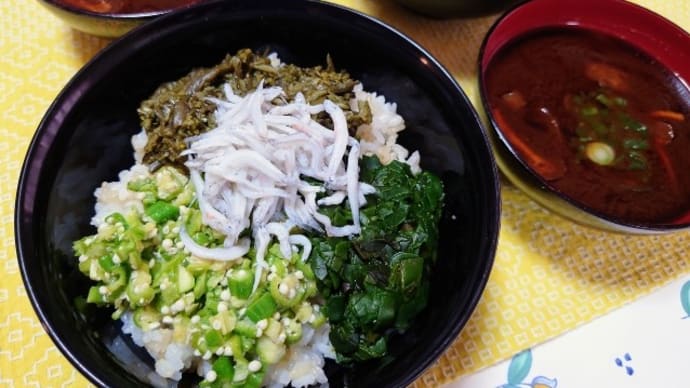 野菜のたたき丼