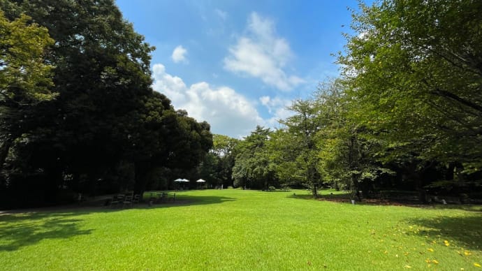 都内の箱庭である東京都庭園美術館の居心地が良かった