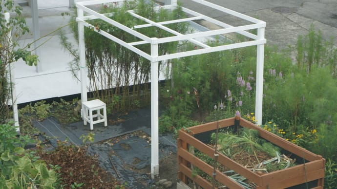 畑に柱建てー3(横板設置)ぶどう棚