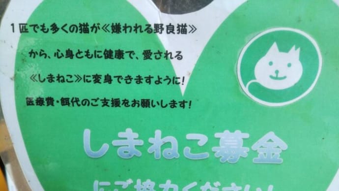 募金ありがとうございます!