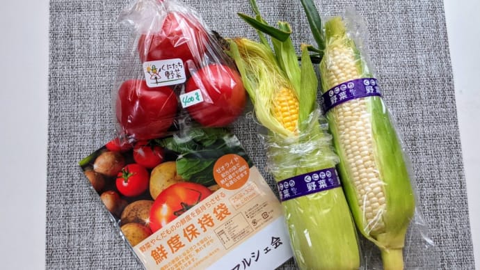 6月24日 本日は第六小学校学童見守り活動を行った後に、環境フェスタ実行委員会に出席しました。完熟した国立産トマトの甘味に驚きました。